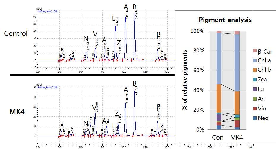 Control과 MK4 돌연변이체의 HPLC 결과와 색소 구성 비율의 차이