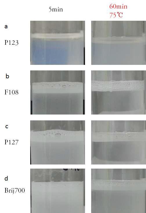 계면활성제 종류에 따른 에멀젼의 열적 안정성실험의 용액형태