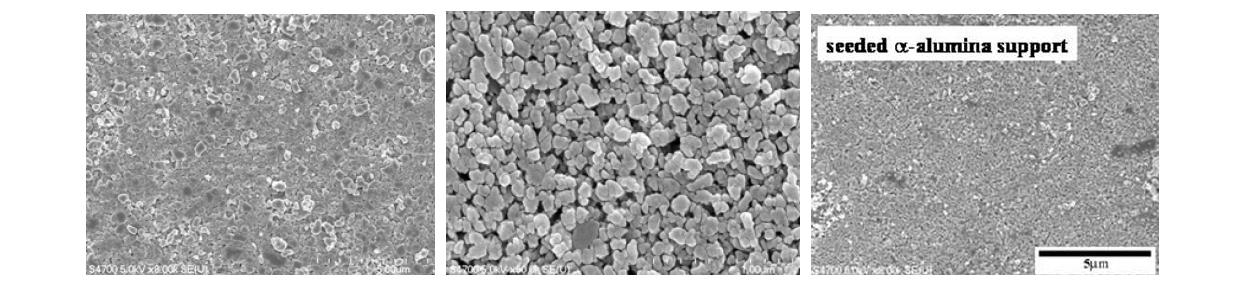 알파-알루미나 지지체 표면, 종결정, 종결정 코팅된 지지체 표면의 SEM 사진