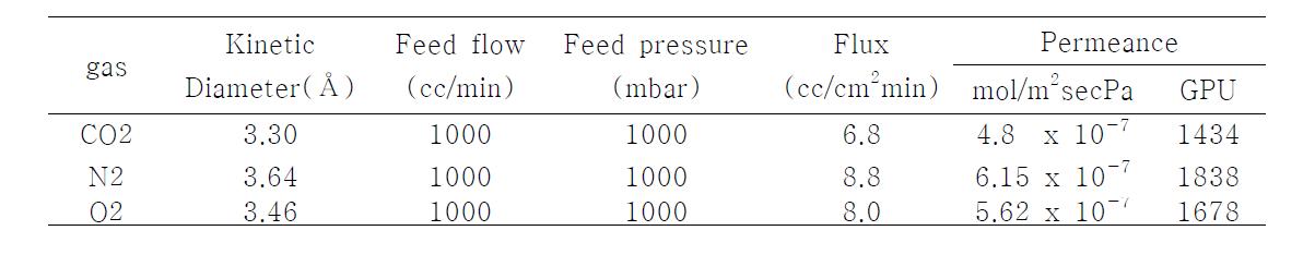 알파-알루미나 지지체의 단일 가스 투과 거동