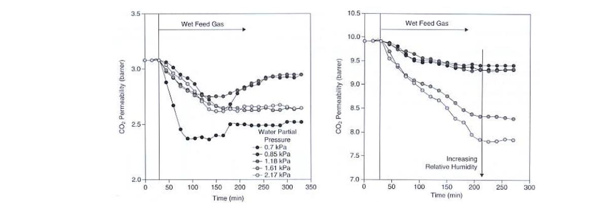 습기가 CO2 투과도에 미치는 영향 (10%CO2+90%N2); (a) polysulfone, (b) Matrimid 5218