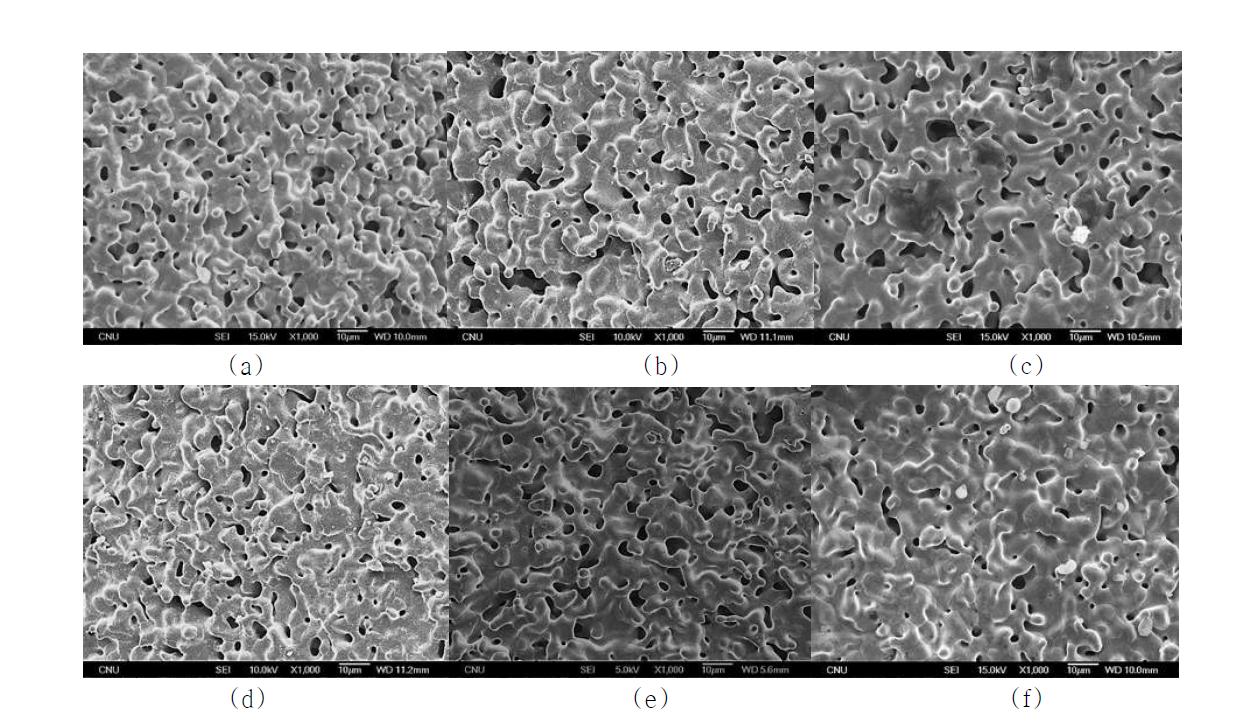 다공성 니켈 모세관 표면의 고배율 SEM 사진