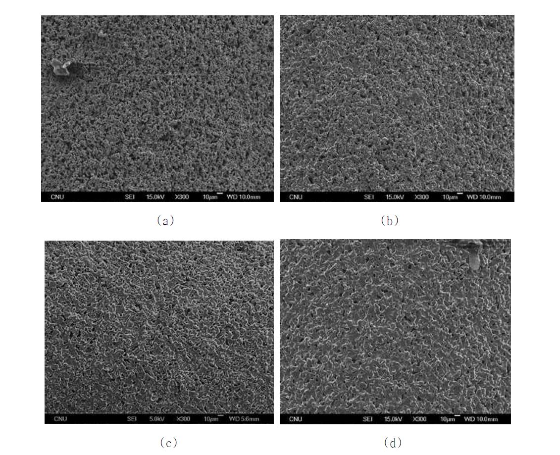 열처리 온도를 달리하여 얻어진 다공성 니켈 모세관 표면의 저배율 SEM 사진