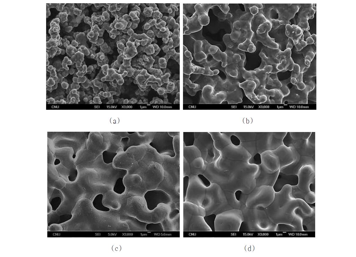 열처리 온도를 달리하여 얻어진 다공성 니켈 모세관 표면의 고배율 SEM 사진