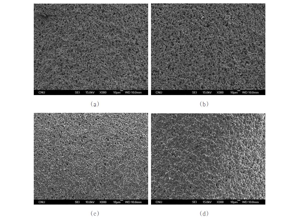 열처리 온도를 달리하여 얻어진 다공성 써멧 모세관 표면의 저배율 SEM 사진