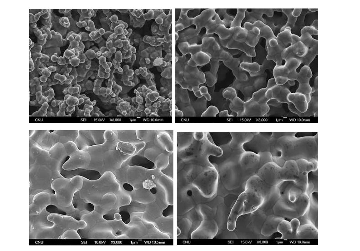 열처리 온도를 달리하여 얻어진 다공성 써멧 모세관 표면의 고배율 SEM 사진