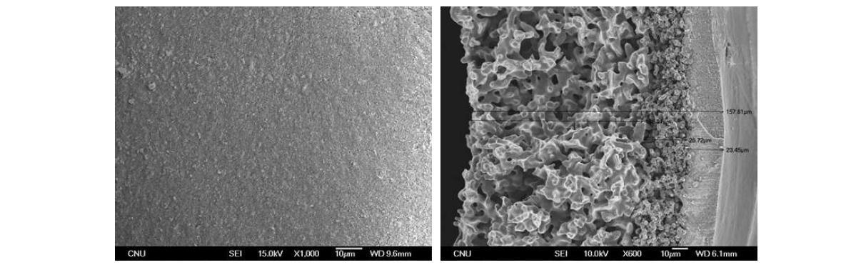 zirconia/Ni/Ni 모세관의 표면 및 파면에 대한 SEM 사진