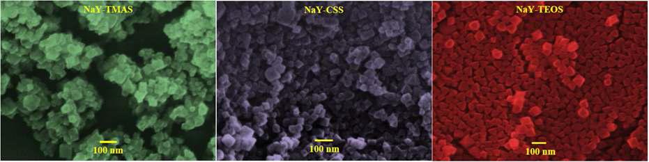 NaY-TMAS, NaY-CSS, NaY-TEOS의 SEM 사진