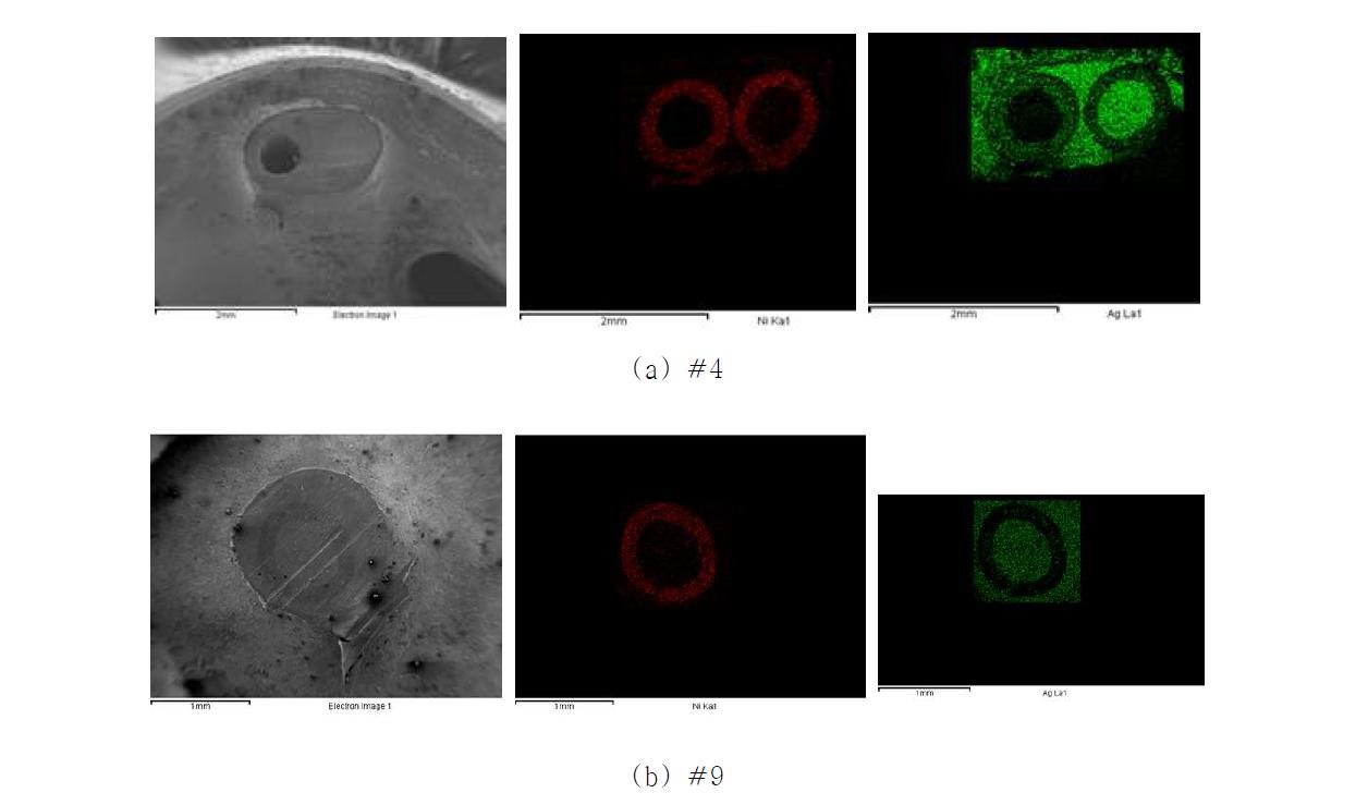 #4와 #9 시편 절단면의 SEM 사진과 Ni, Ag EDS 맵핑 사진