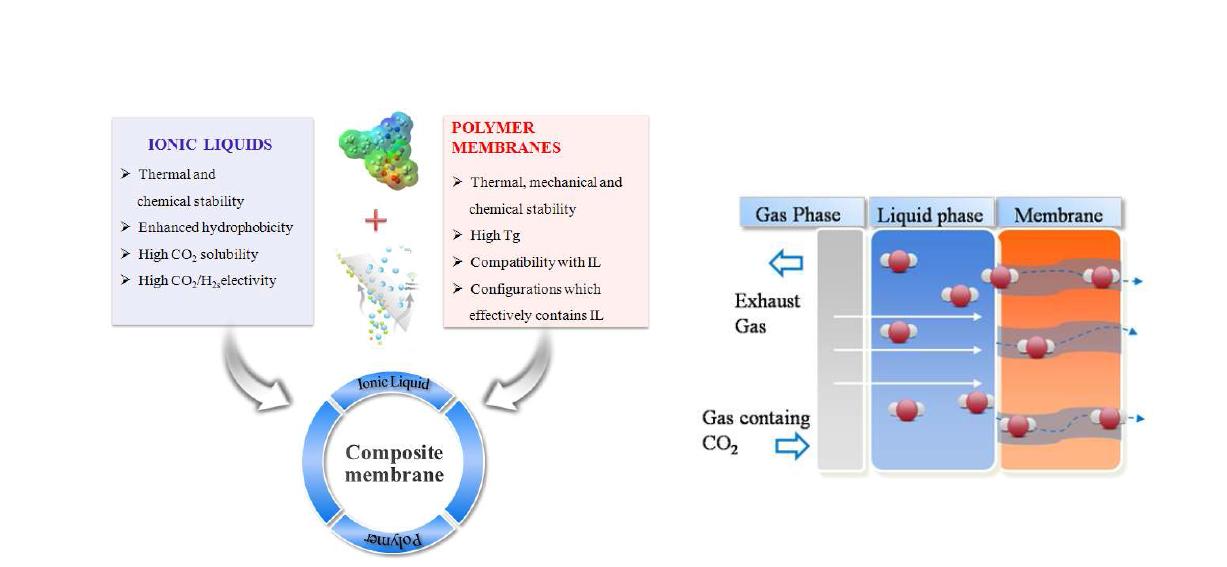 Poly(RTIL)-(RTIL) composite membrane 투과 개념도