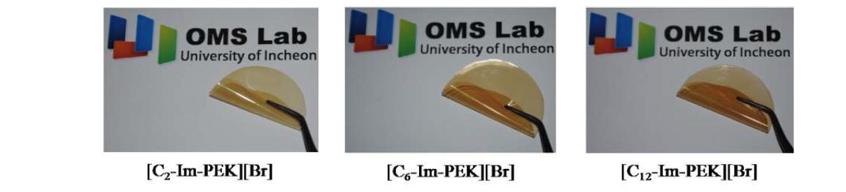 alkyl imidazolium계 이온성 액체가 고분자의 곁 사슬에 도입된 고분자 poly(ether ketone) (Im-PEK)