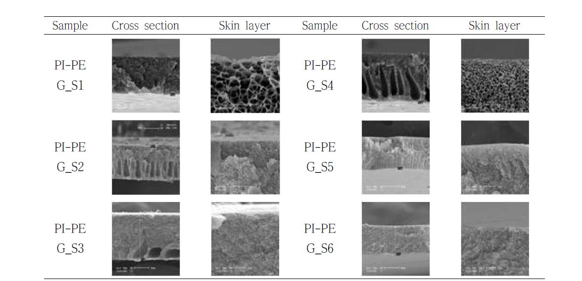 PI-PEG flat sheet membrane의 모폴로지 분석