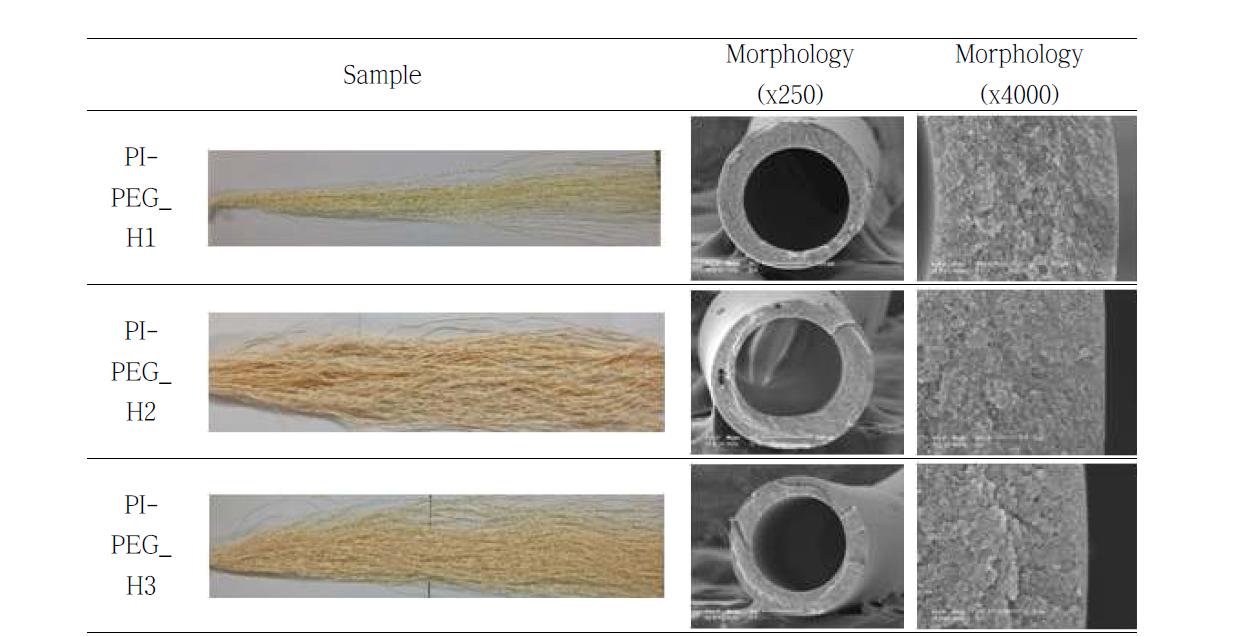 PI-PEG계 중공사막의 제조 및 모폴로지 확인