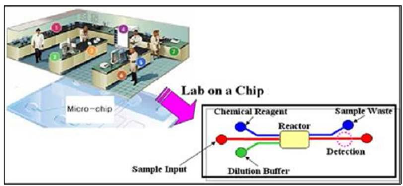Lab on a chip (LOC)의 개념도