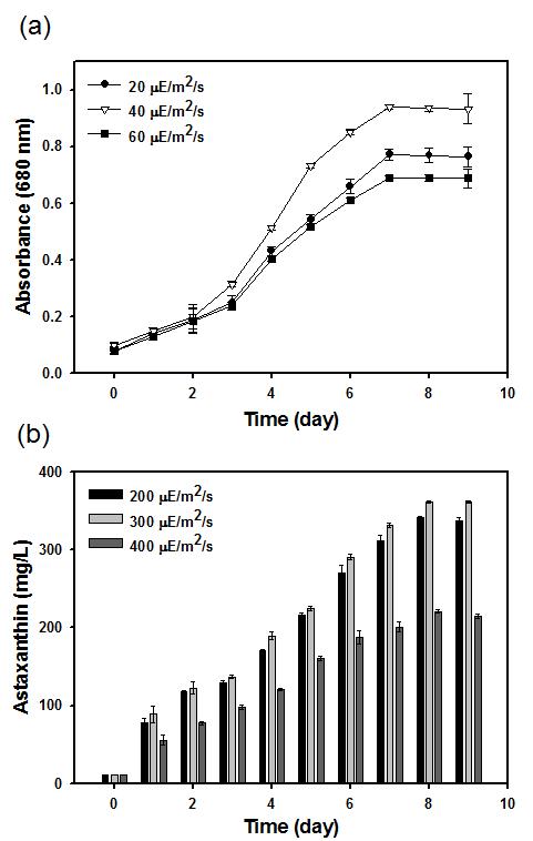 광도에 따른 Haematococcus pluvialis 성장성 및 astaxanthin 축적 능력 비교