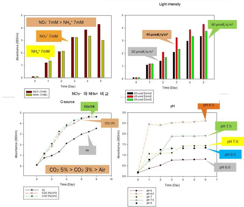 N source(질소원), light intensity, 이산화탄소 농도, pH 농도 조건에 따른 최적 배양 조건 성장 비교