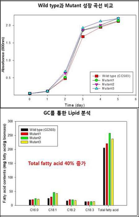 선별된 고생산성 균주의 성장 곡선 비교와 GC를 통한 lipid 정량 분석