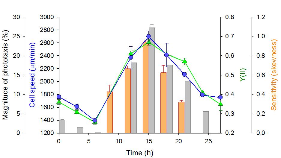 Circadian rhythm에 따른 주광성 및 광효율 상관관계