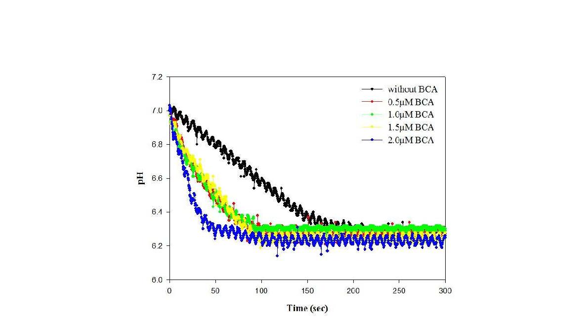 BCA 농도에 따른 CO2의 수화반응 특성.