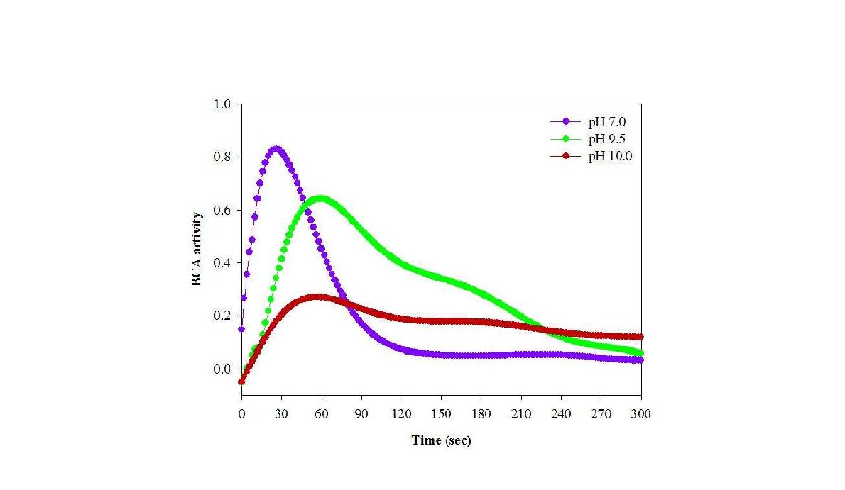 BCA의 CO2 수화반응에 대한 pH 영향.