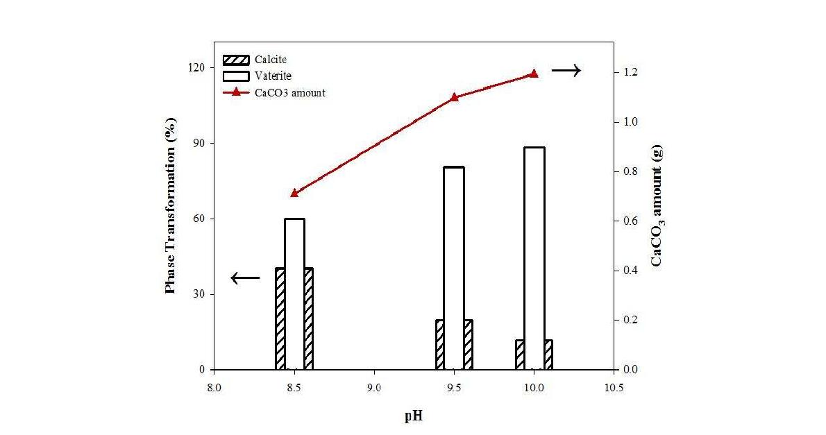 탄산칼슘 생성에 대한 pH의 영향.different pH