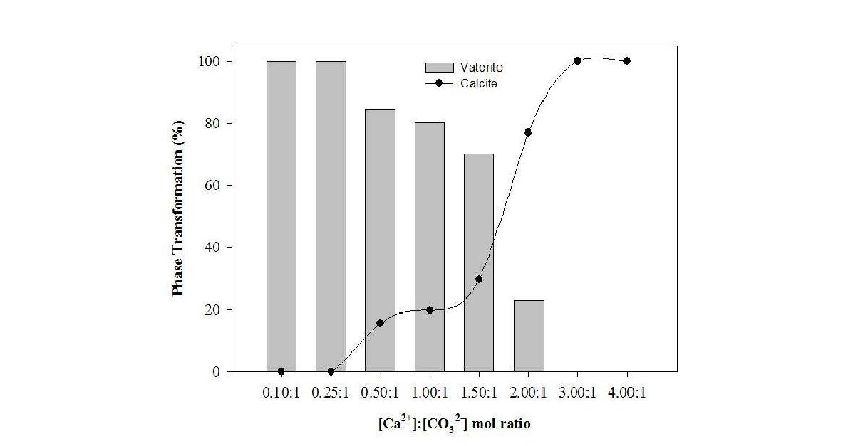 :[CO32–] 몰비에 따른 침강성탄산칼슘 성상.