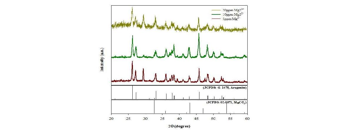 Mg2+ 이온에 의한 침강성탄산칼슘의 성상 변화.