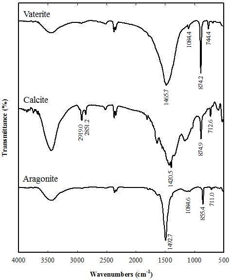 침강성탄산칼슘 성상에 따른 FT-IR spectra.