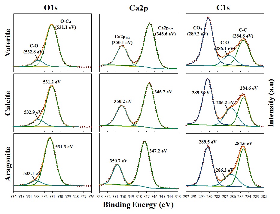 침강성탄산칼슘의 각 성상에 따른 XPS spectra.