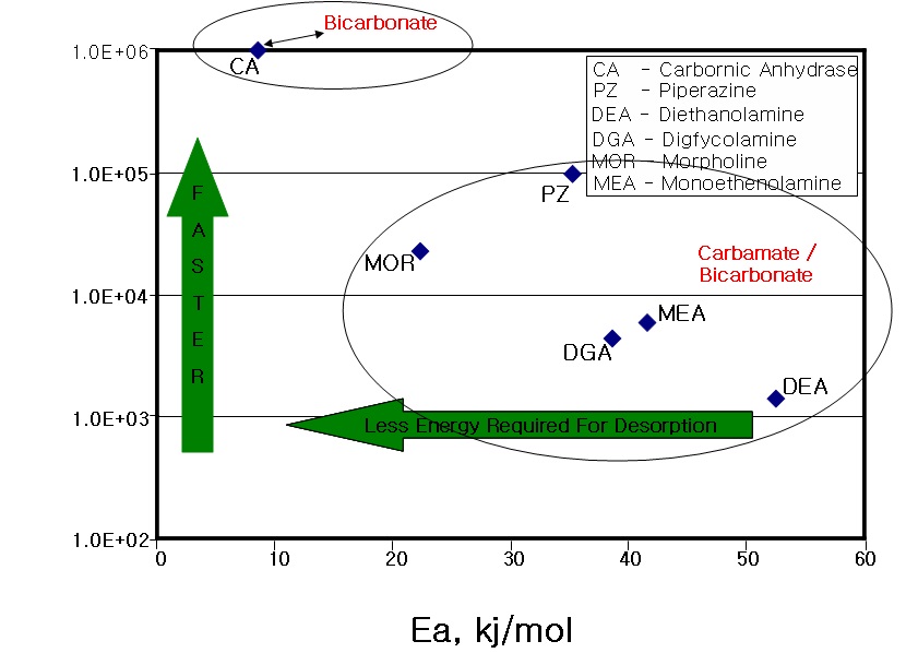 Carbonic anhydrase와 amine의 CO2 흡수 반응 속도와 흡수에너지 비교.