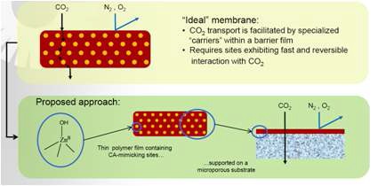 탄산무수화효소 모사촉매 함침 CO2 촉진수송막.