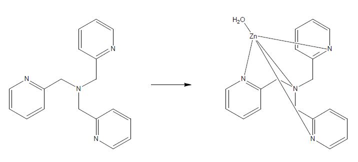 TPMA-M-OH2의 합성 메카니즘.