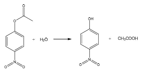 p-NPA의 p-NP 가수분해 반응 메카니즘.