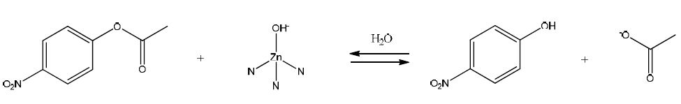 촉매에 의한 p-NPA의 p-NP 가수분해 반응 메카니즘.