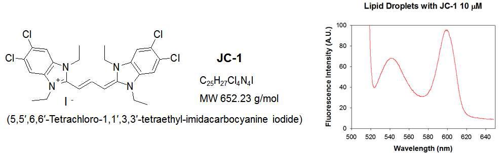 JC-1의 분자적 구조와 바이오디젤 전구 물질 사이에서의 형광 발현도