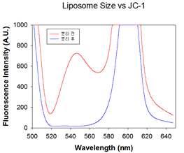 리포좀 사이즈에 따른 JC-1 형광 강도 측정 결과