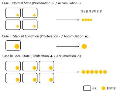 바이오디젤 생성 효율과 경제성 분석 연관도