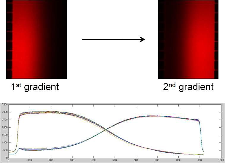 농도구배의 180 〫 방향전환 및 MATLAB을 이용한 농도구배 분석