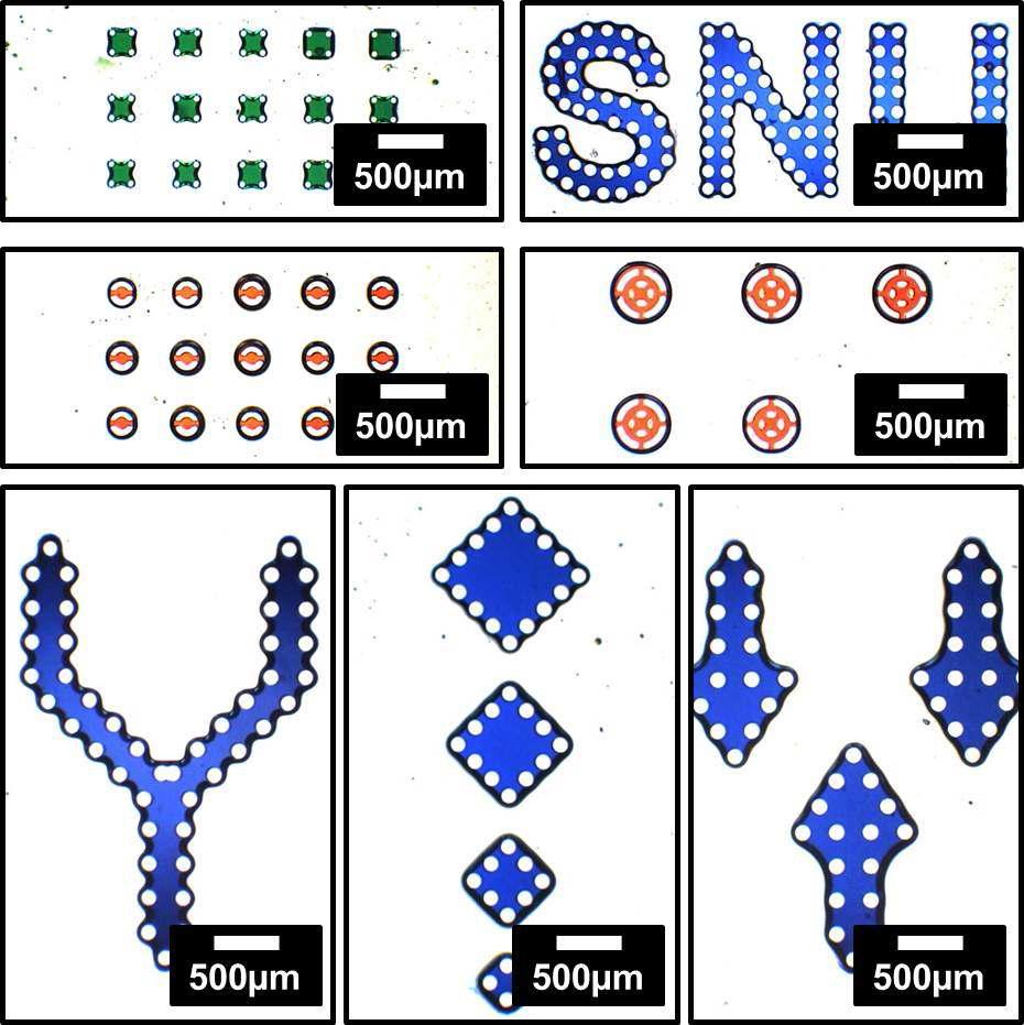 다양한 모양으로 구성된 미세구조물 배열과 그 내부에 패터닝된 유체