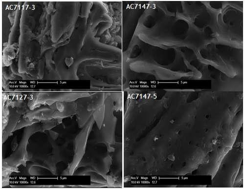 SEM images of activated rice husk with 3min. micro wave heating. (AC7117-3 : activation:700℃, charcoal:KOH = 1:1), (AC7147-3 : activation:700℃, charcoal:KOH = 1:4) (AC7127-3 :activation:700℃, charcoal:KOH = 1:2) (AC7147-5: activation:700℃, charcoal:KOH = 1:4, microwave heating :5 min.)