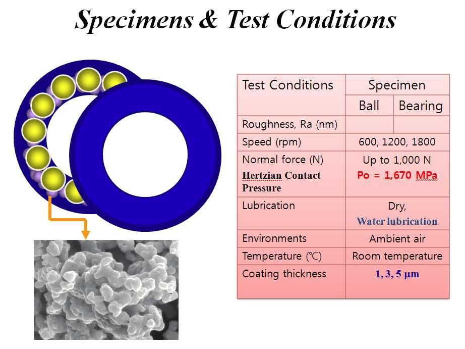 Specimen and test conditions