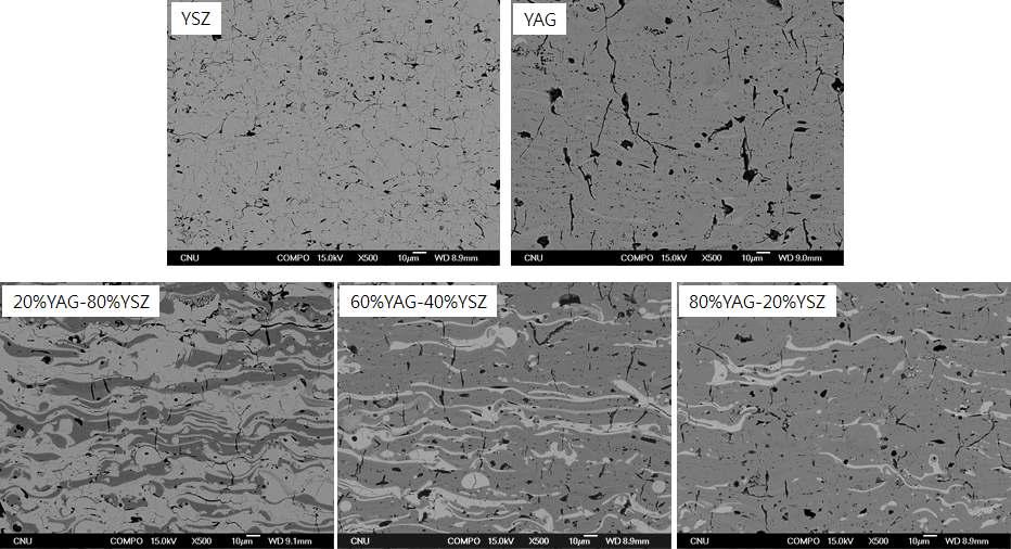 1000℃에서 1시간 노출한 YAG-YSZ 코팅의 미세구조.