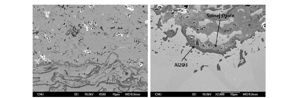 YSZ 코팅의 열충격 시험 후 단면 미세조직.