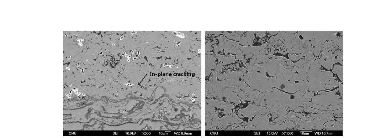 열충격 시험 후의 GZO-YSZ 코팅의 단면 미세조직.