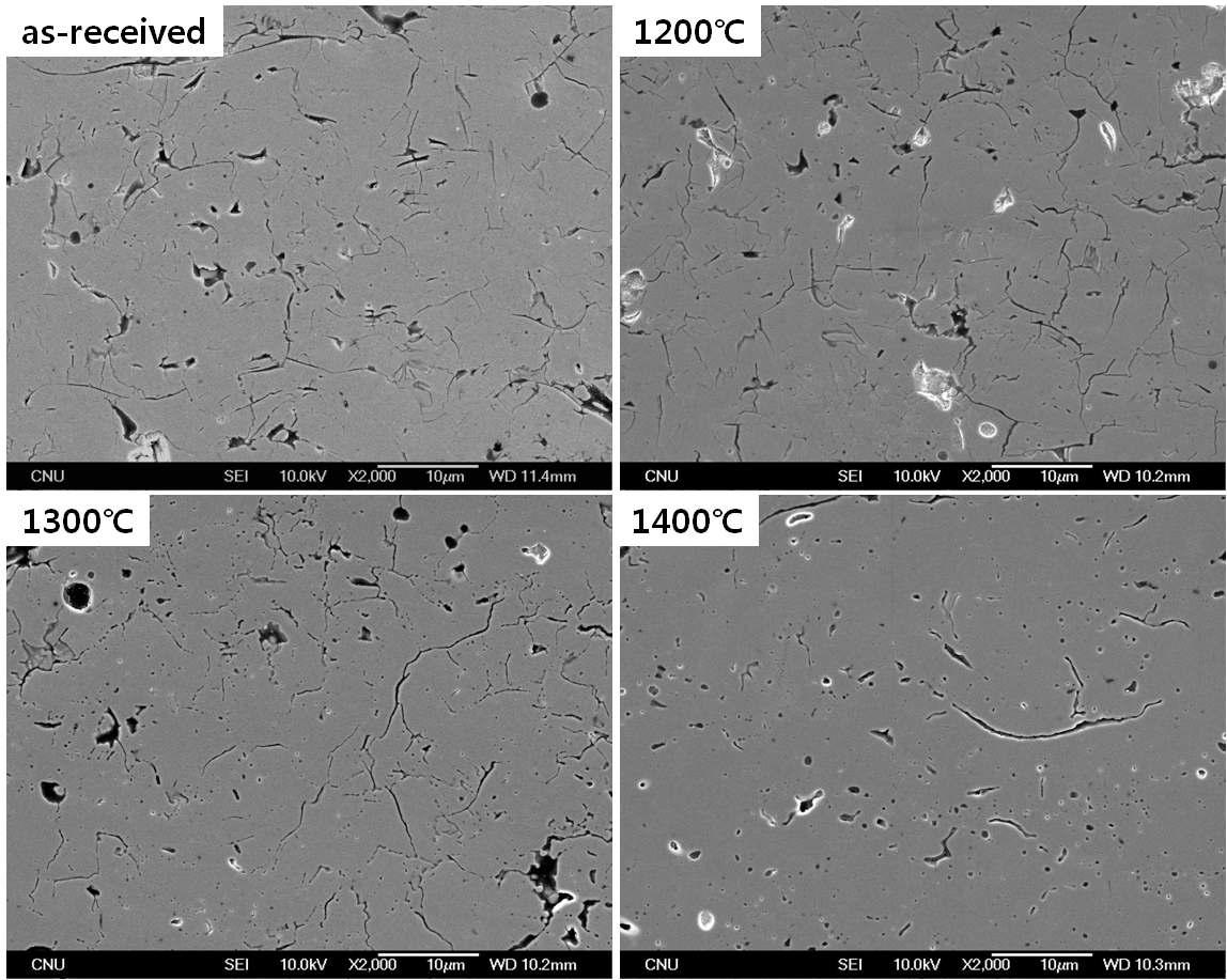 열처리에 따른 dense YSZ ceramic coating (SD-YSZ-F)의 미세조직 변화.