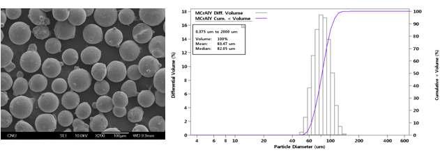 NiCrAlY(Amdry 962) 분말의 형상 및 입도분포.