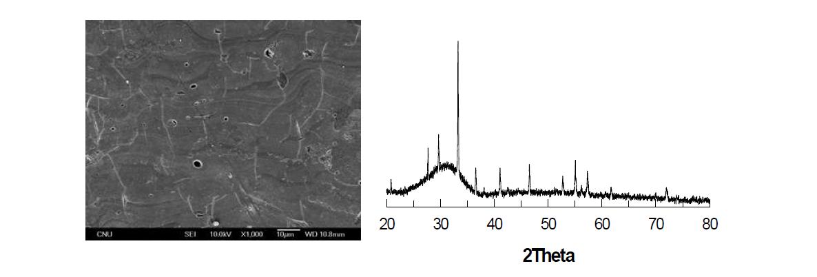 플라즈마 용사된 YAG 코팅의 미세구조와 XRD 패턴.