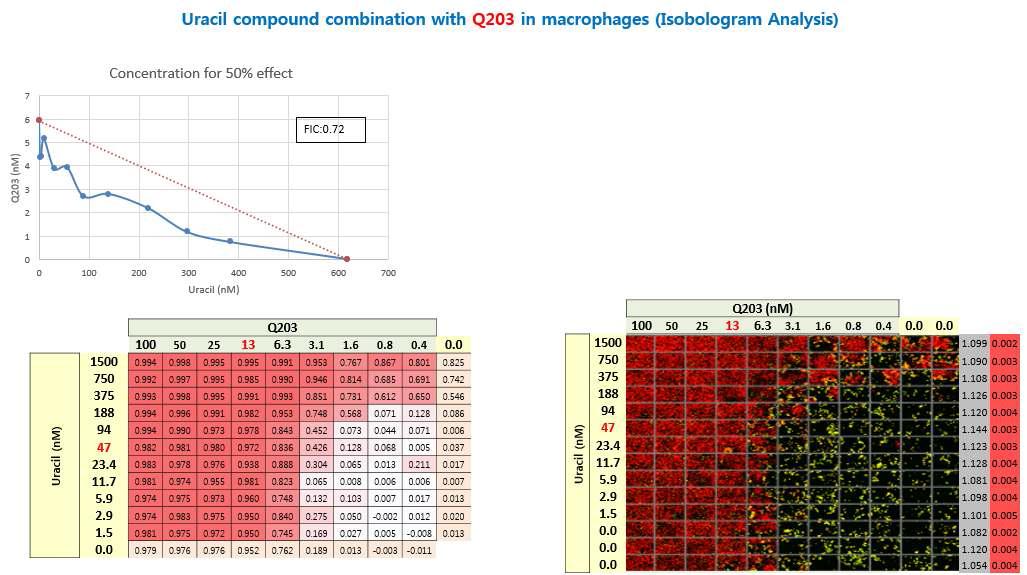 Uracil 화합물과 Q203와의 병행 테스트