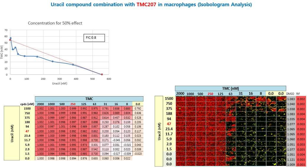 Uracil 화합물과 TMC207와의 병행 테스트