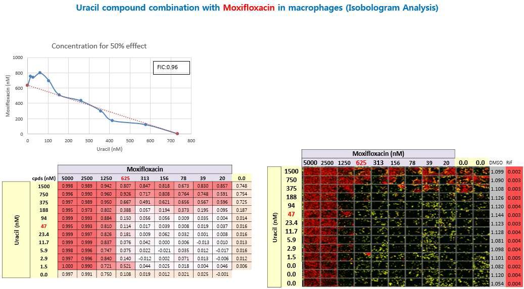 Uracil 화합물과 moxifloxacin와의 병행 테스트